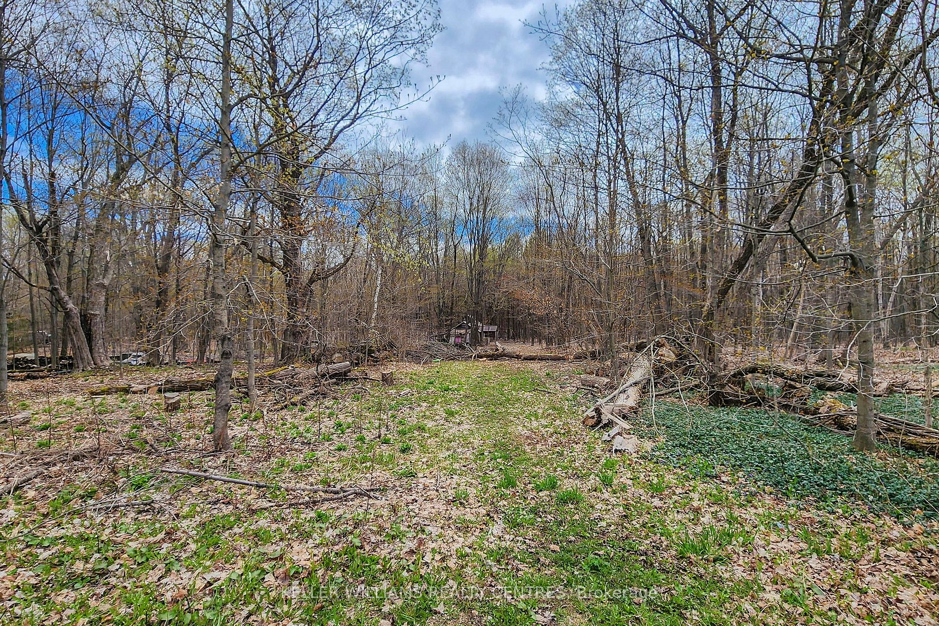 Listing S5952480 - Large Photo # 23