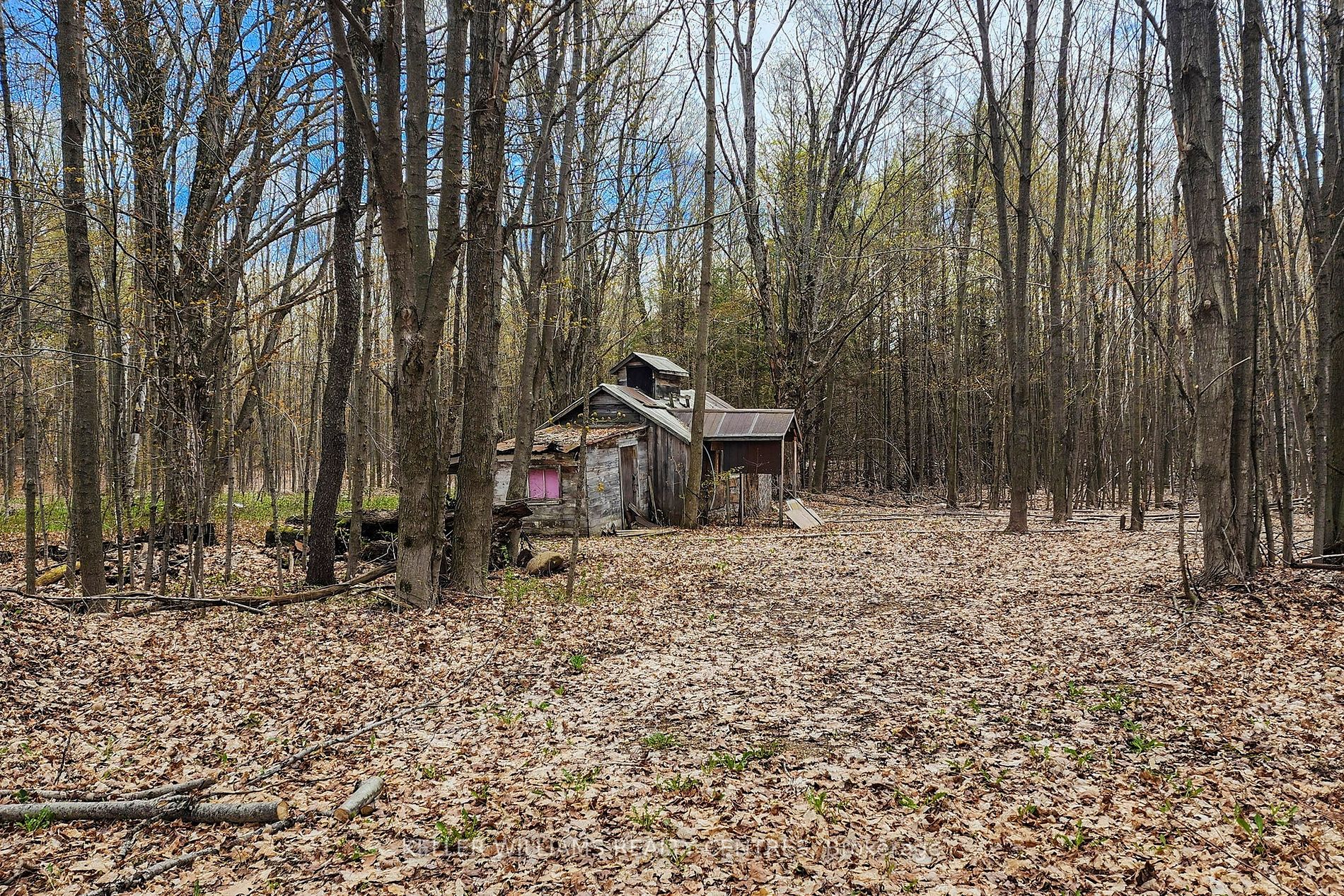 Listing S5952480 - Large Photo # 24