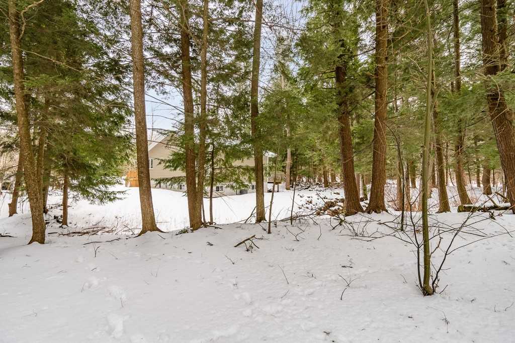 Listing S5956879 - Large Photo # 18