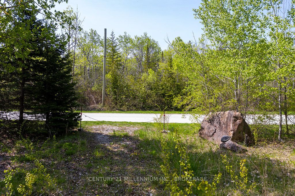Listing S5963393 - Large Photo # 12