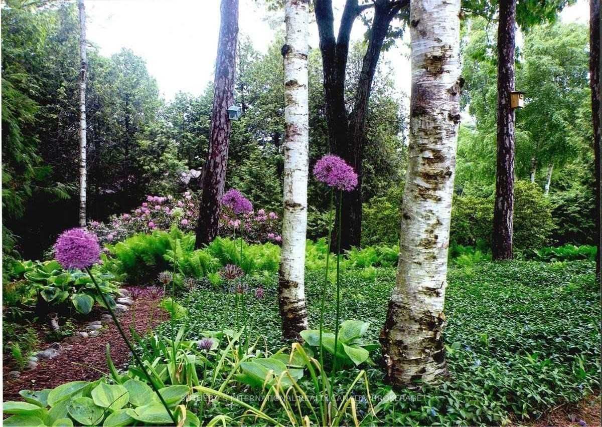 Listing S5964031 - Large Photo # 34