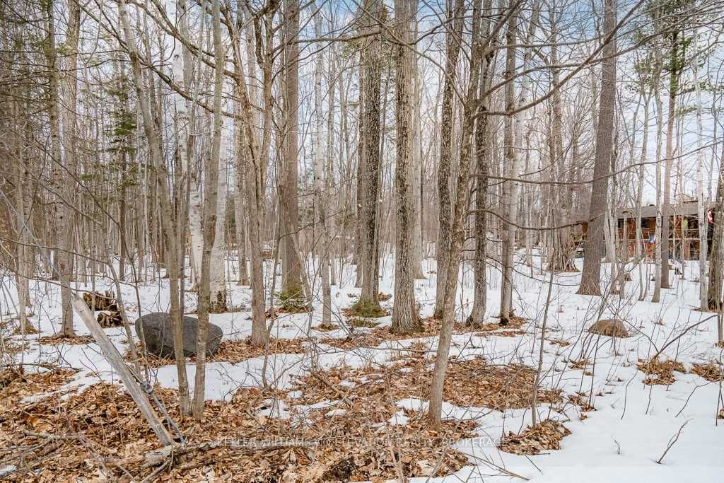 Listing S5986587 - Large Photo # 9