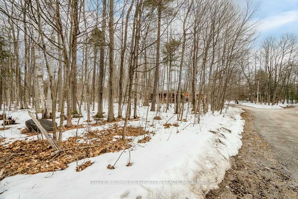 Listing S5986587 - Large Photo # 8