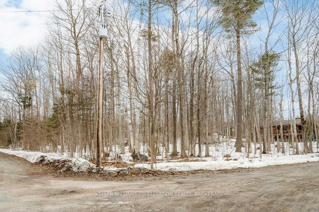 Listing S5986587 - Large Photo # 7