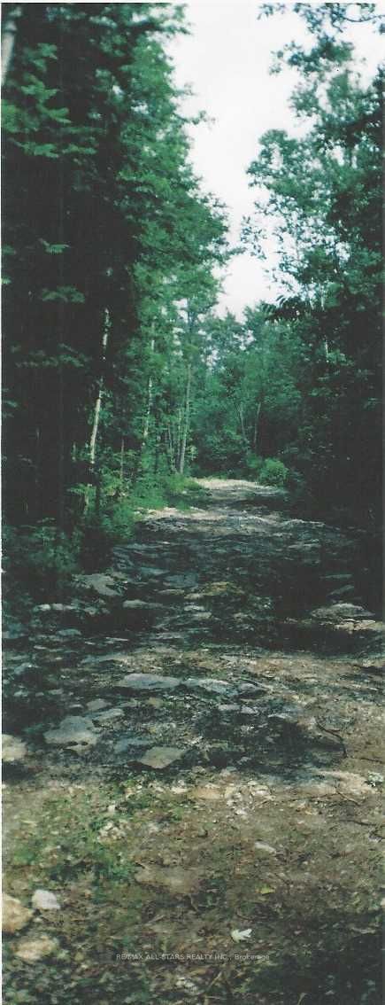Listing S6002404 - Large Photo # 11