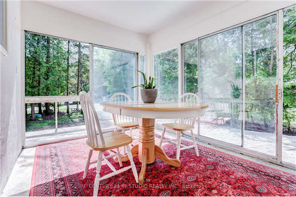 19 Edgar Rd, Collingwood