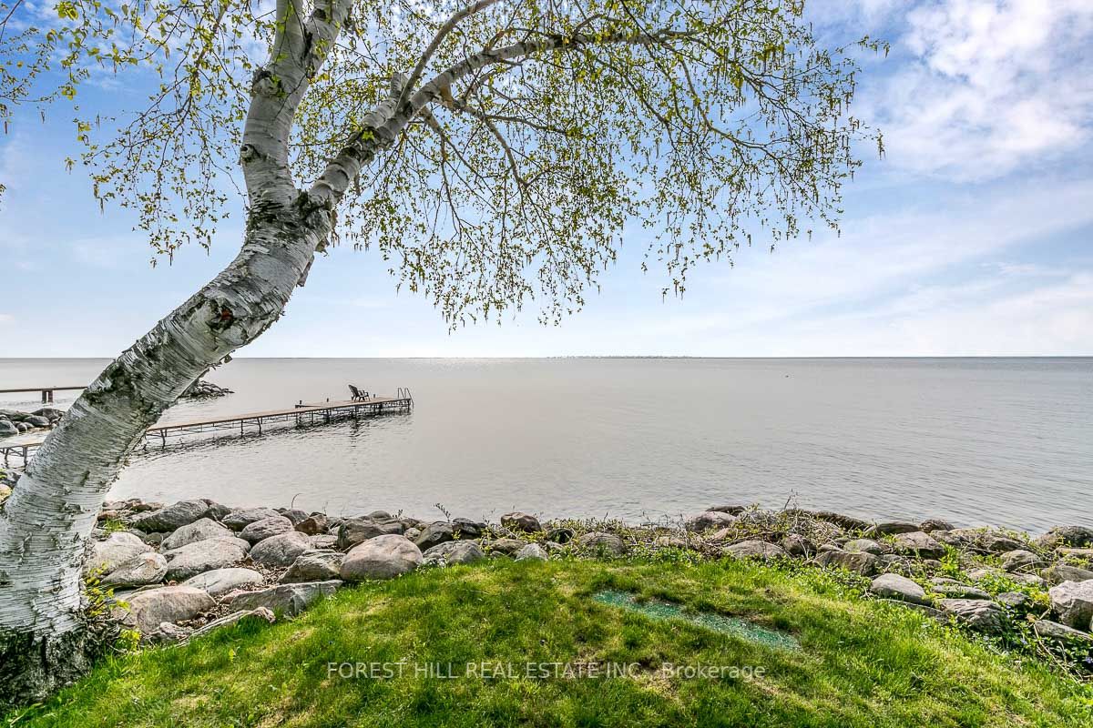 81 Parkside Dr