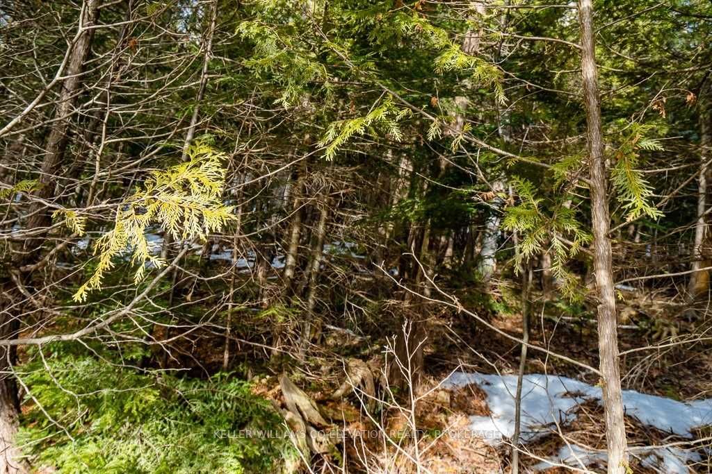Listing S6008351 - Large Photo # 6