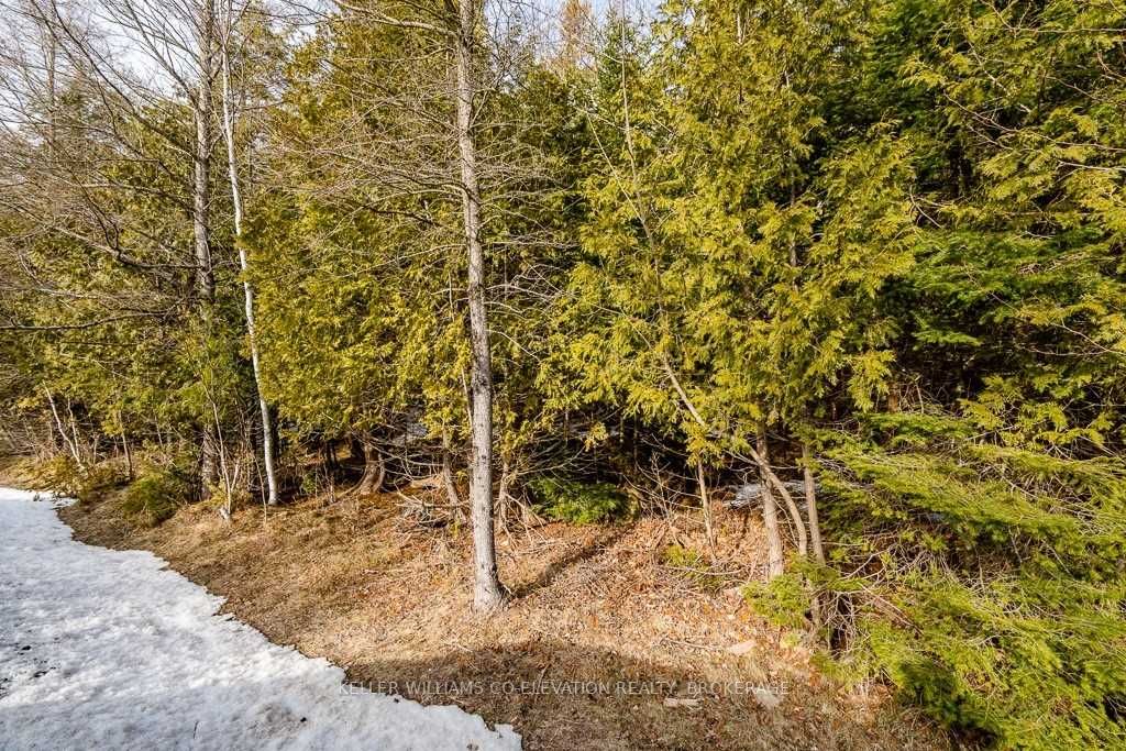 Listing S6008351 - Large Photo # 5