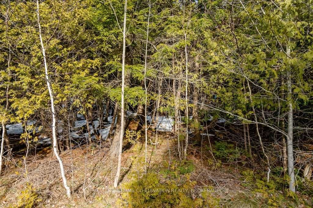 Listing S6008351 - Large Photo # 8