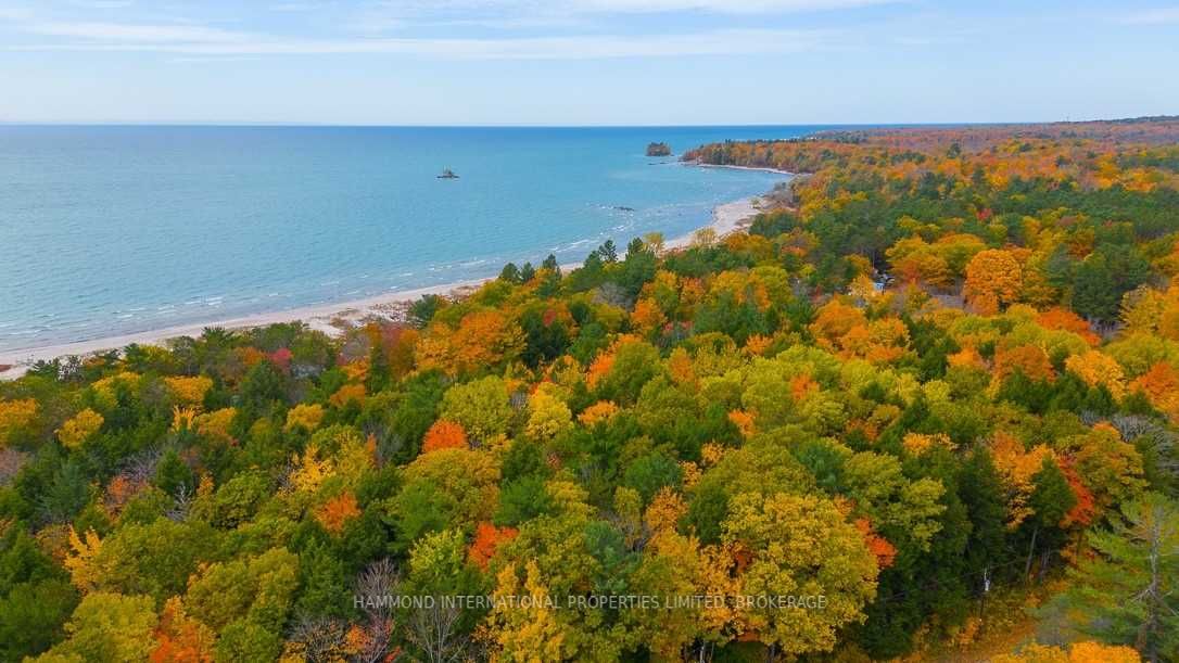Listing S6033401 - Large Photo # 3
