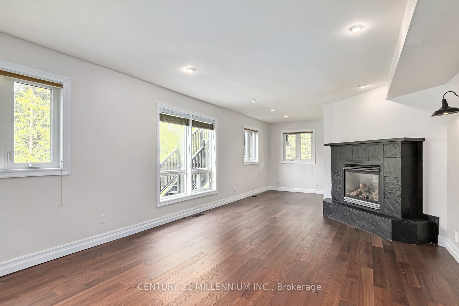 20 Forest Dr