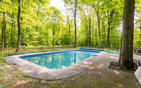 Listing S6046504 - Large Photo # 3