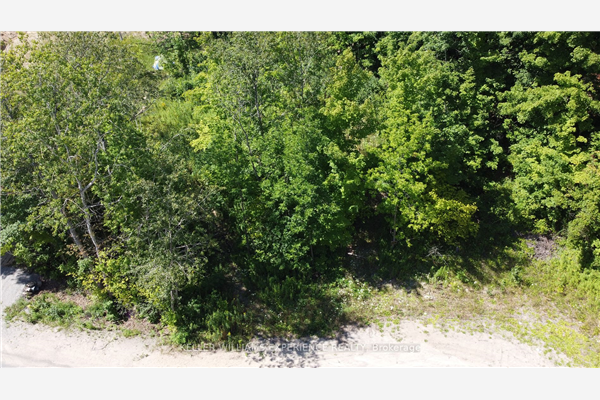 Lt 17 Champlain Rd, Tiny