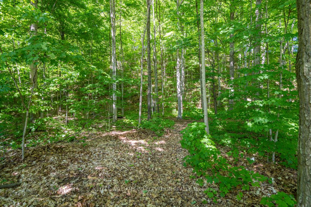 Listing S6082280 - Large Photo # 25