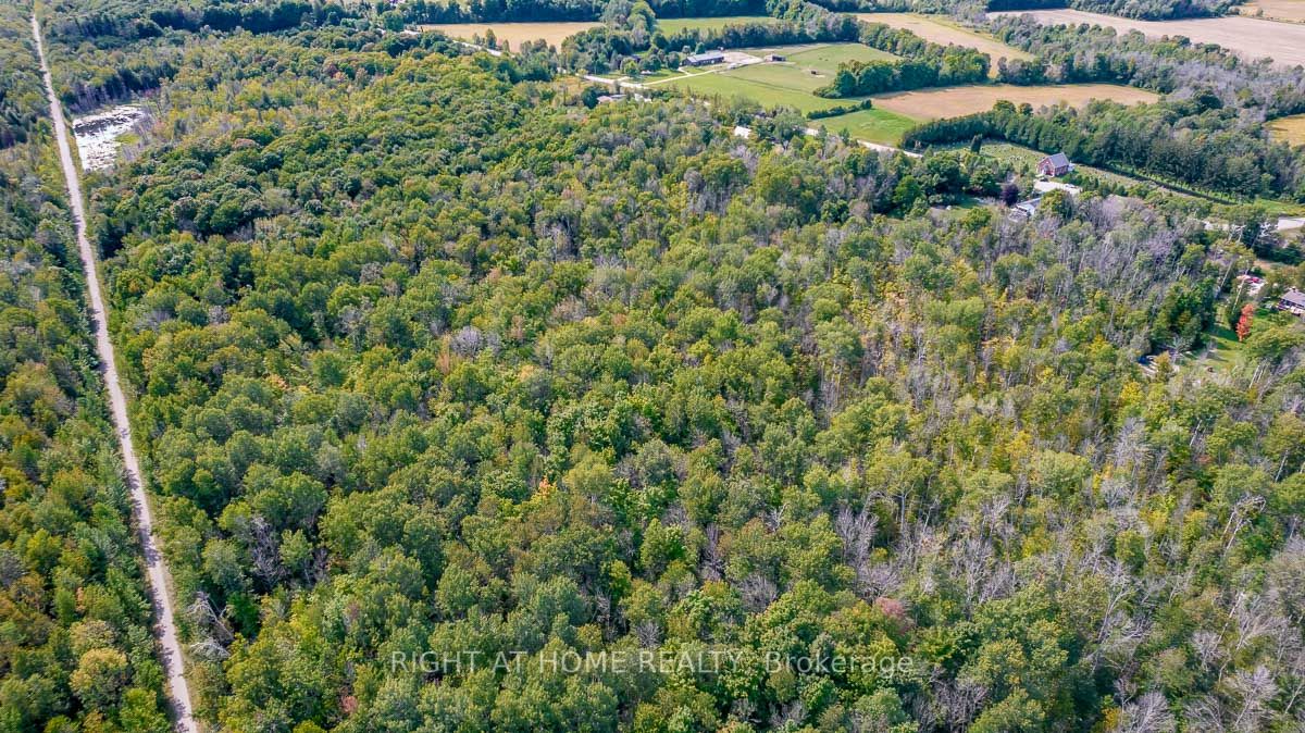 401 Ridge Rd W