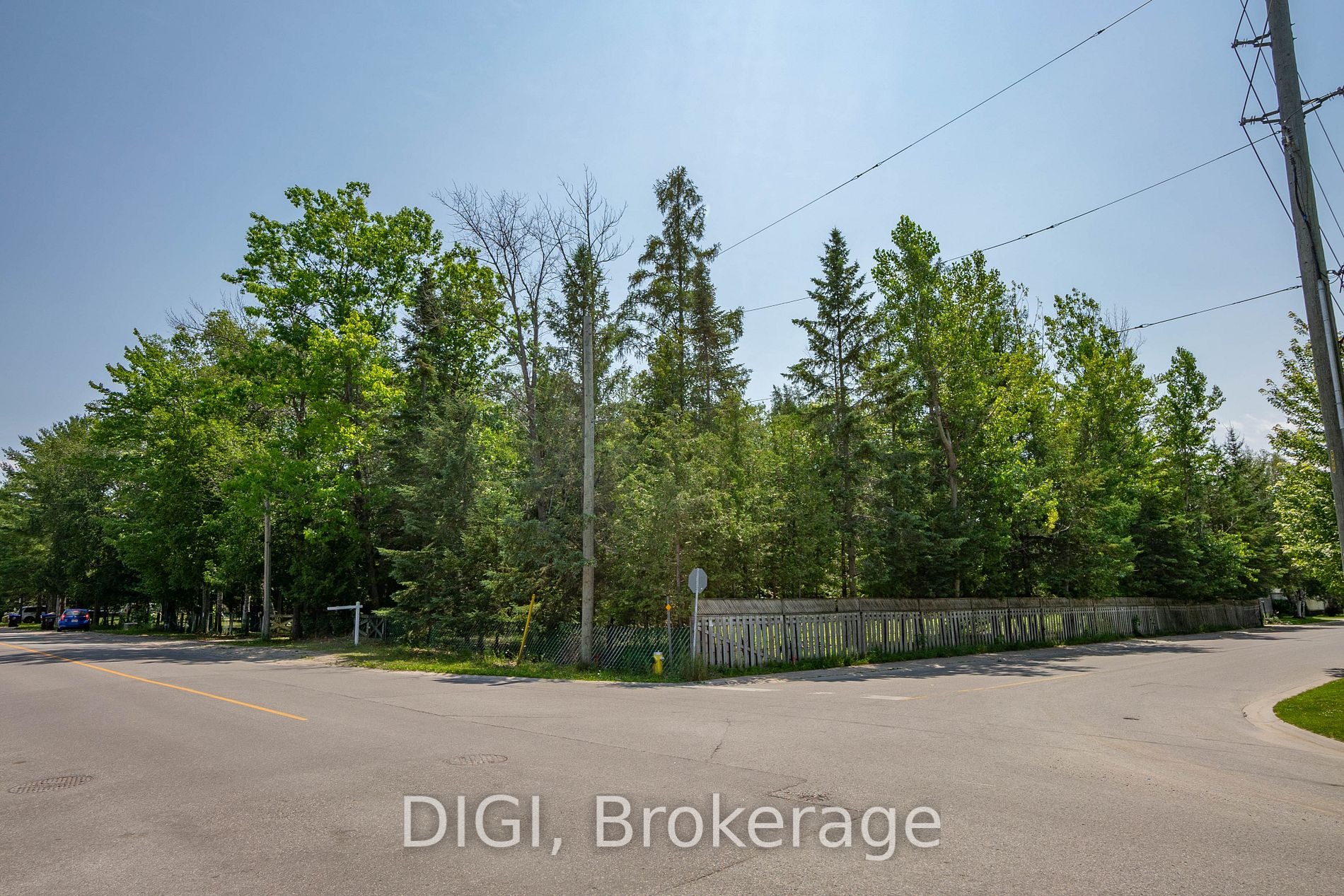 230 Zoo Park Road
