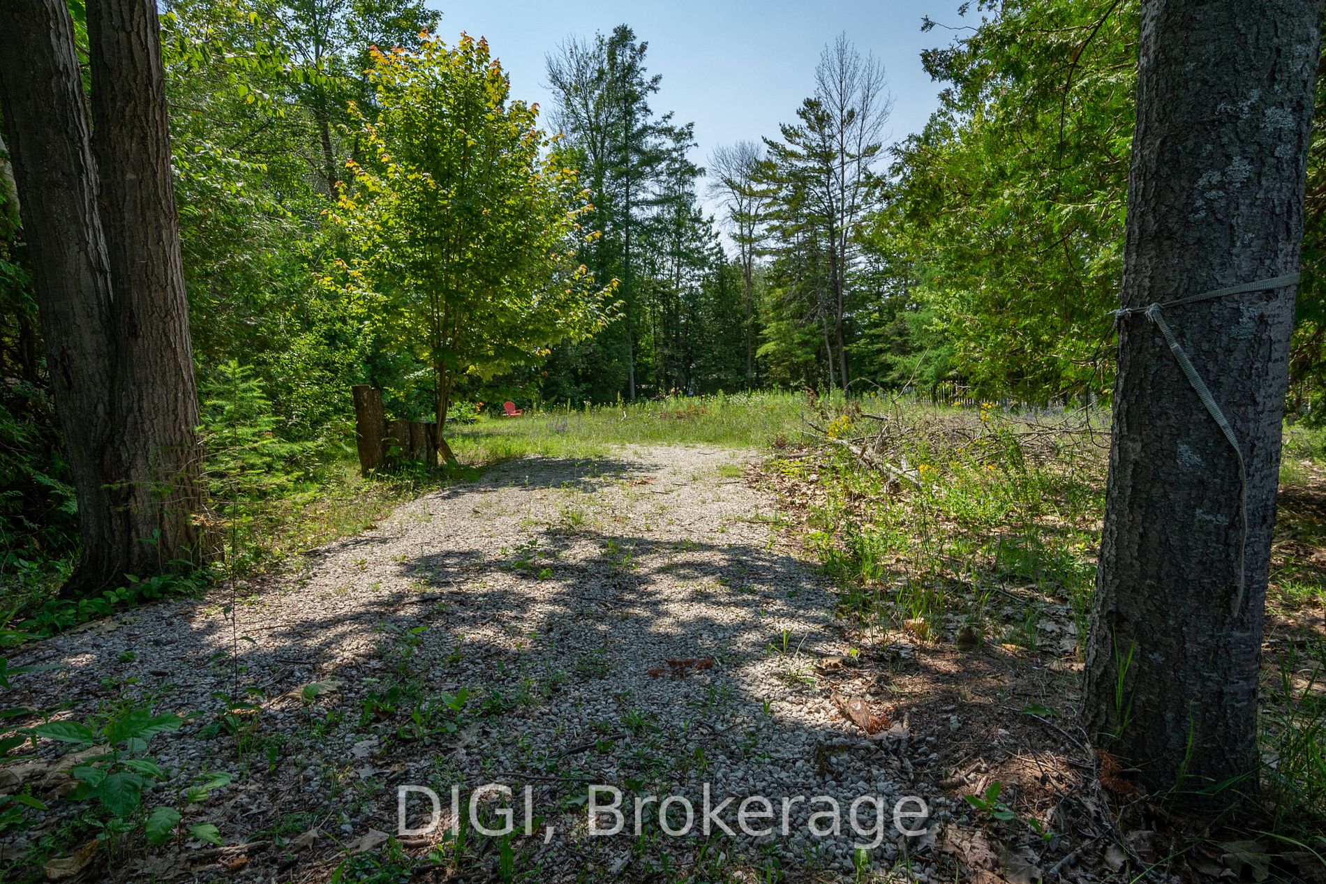 230 Zoo Park Road