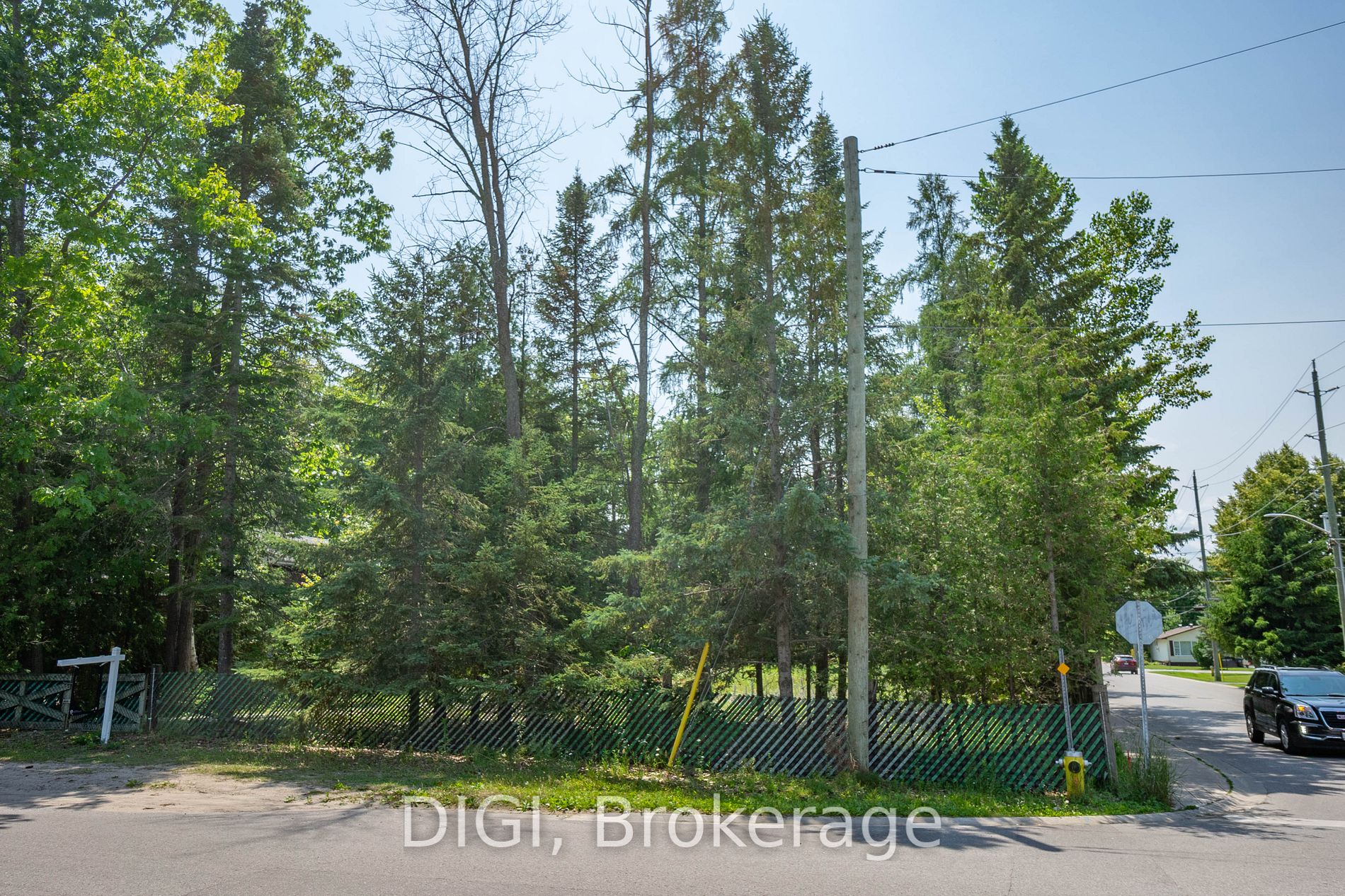 230 Zoo Park Road