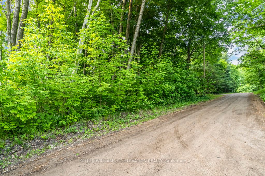 Listing S6167468 - Large Photo # 4