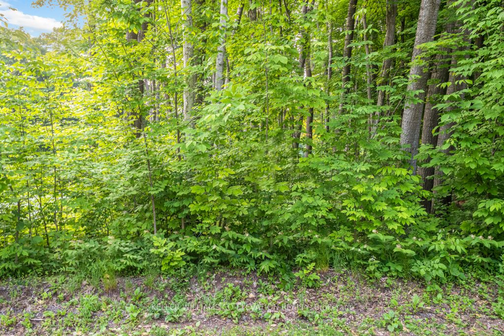 Listing S6167468 - Large Photo # 5