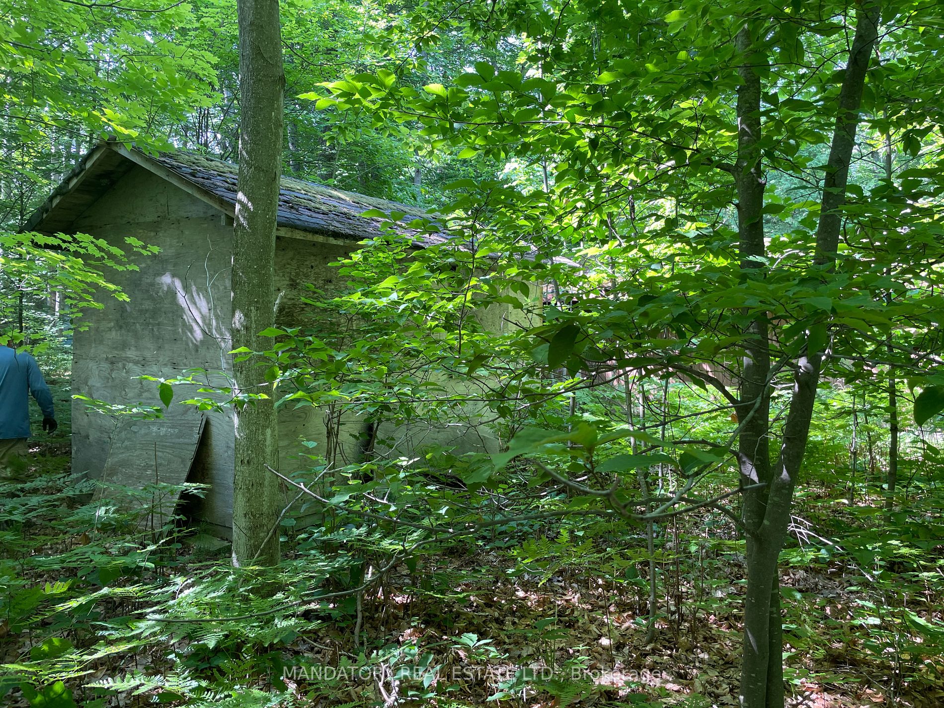 28 Meadows Ave