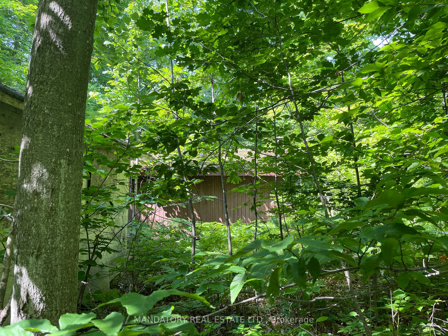 28 Meadows Ave