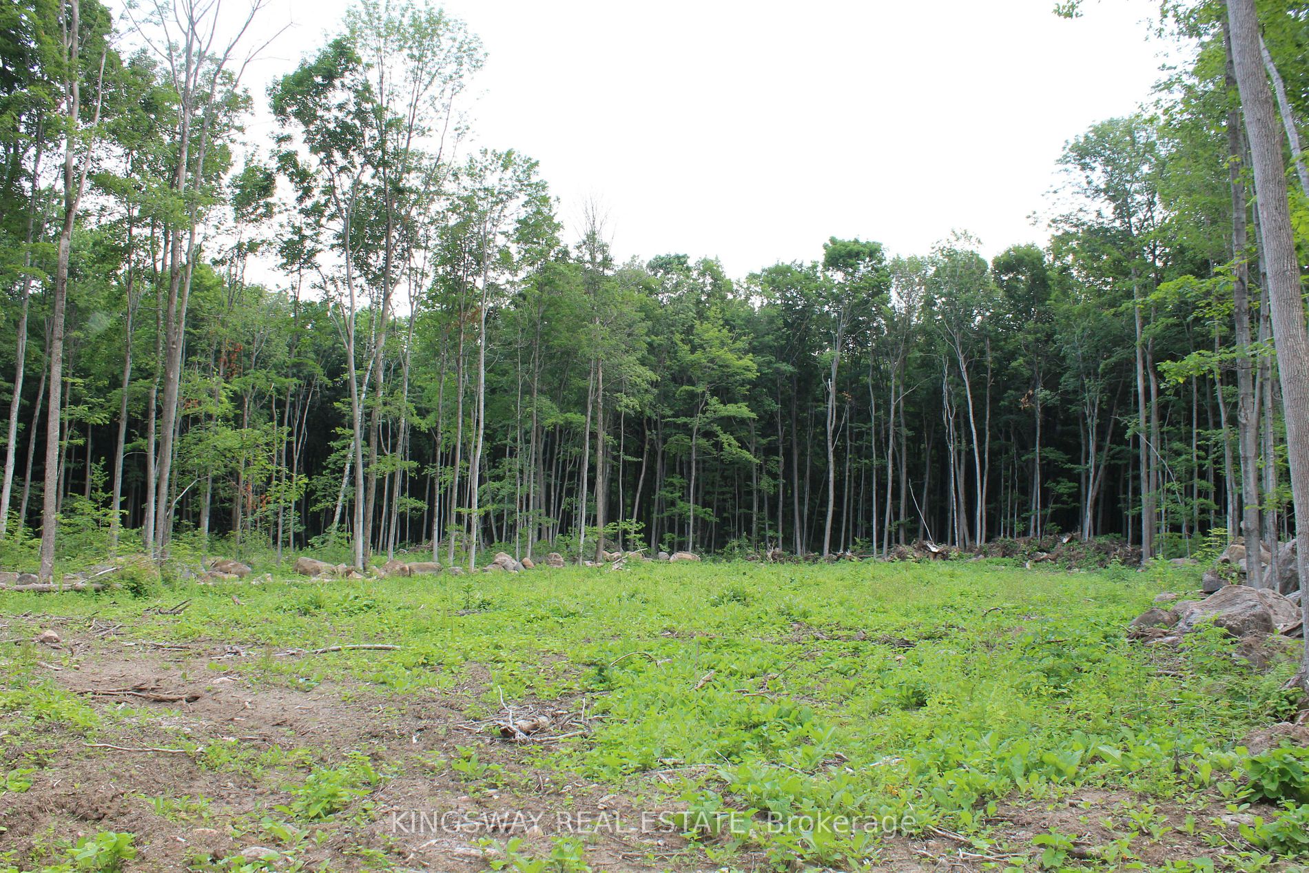 Listing S6661268 - Large Photo # 14