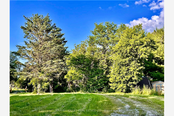 5766 Penetanguishene Rd, Springwater