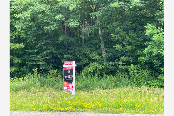 7953 Rama Rd, Severn