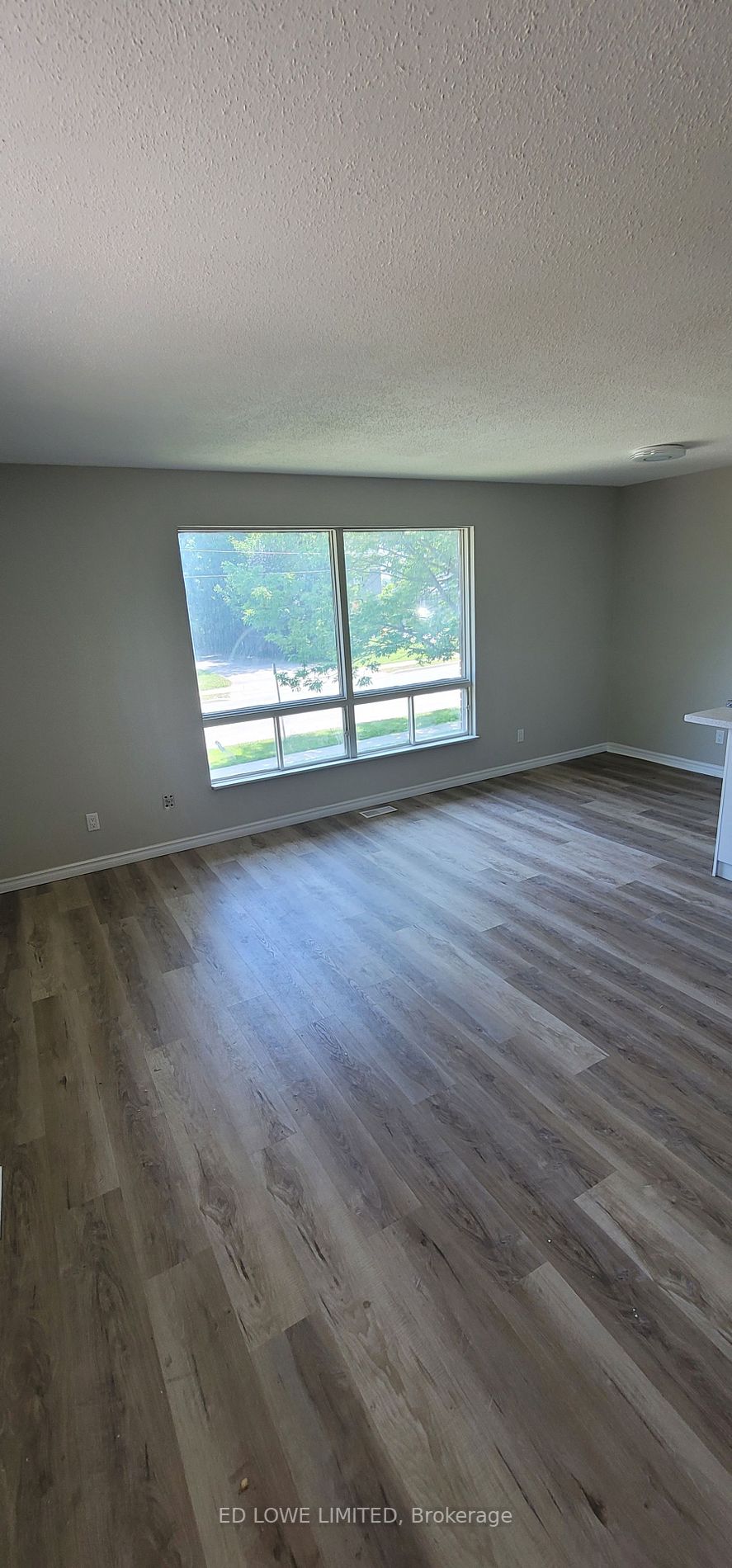 206 Barrie Rd, #6