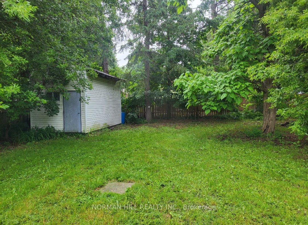 78 Burton Ave