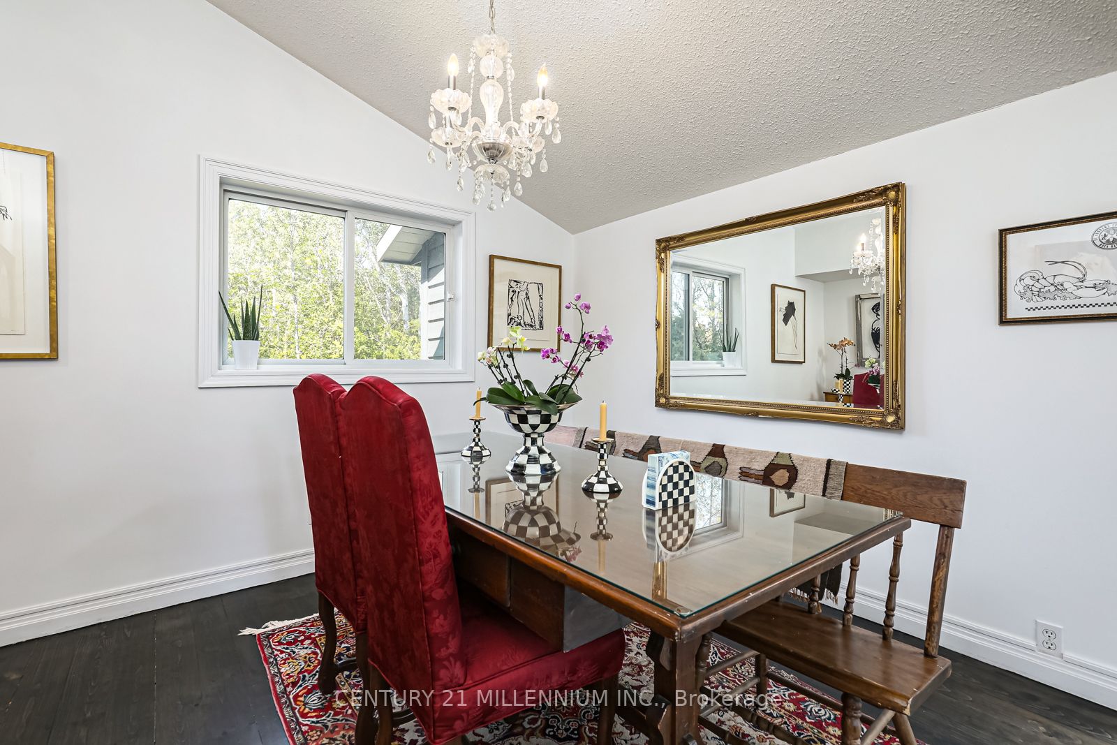 20 Forest Dr