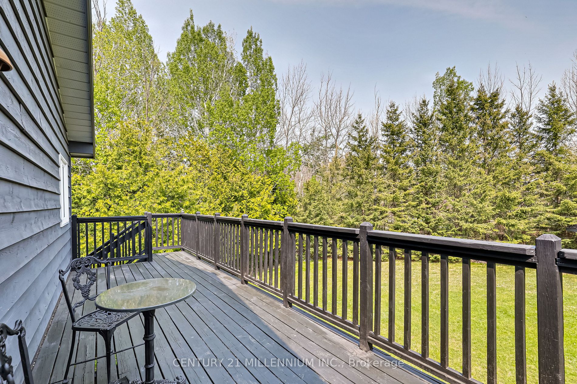 20 Forest Dr