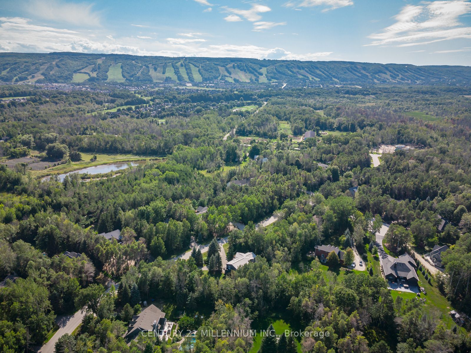 20 Forest Dr