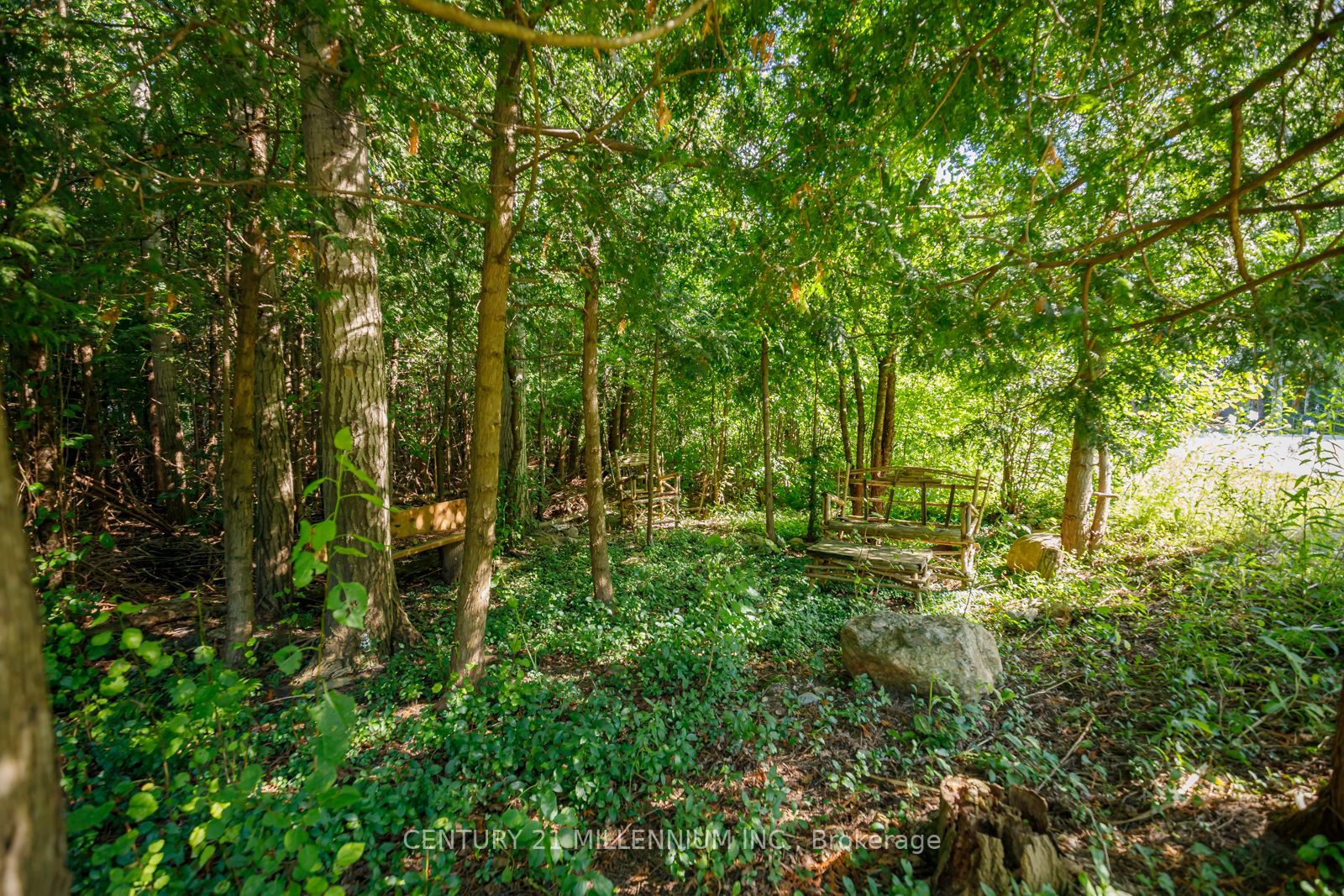 20 Forest Dr