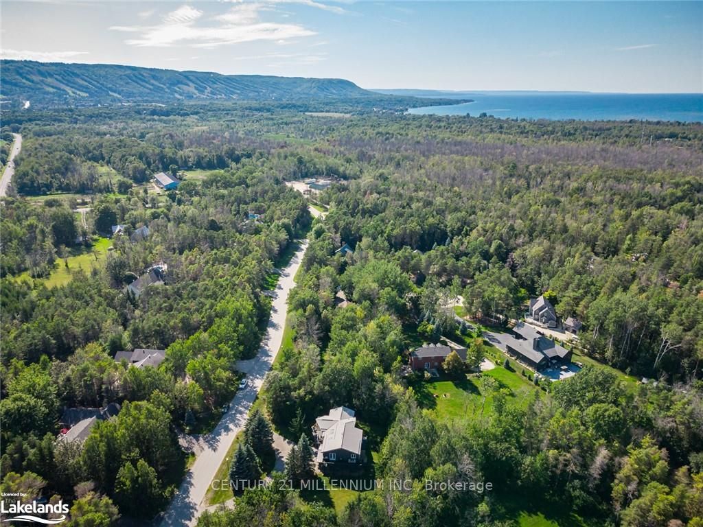 20 Forest Dr