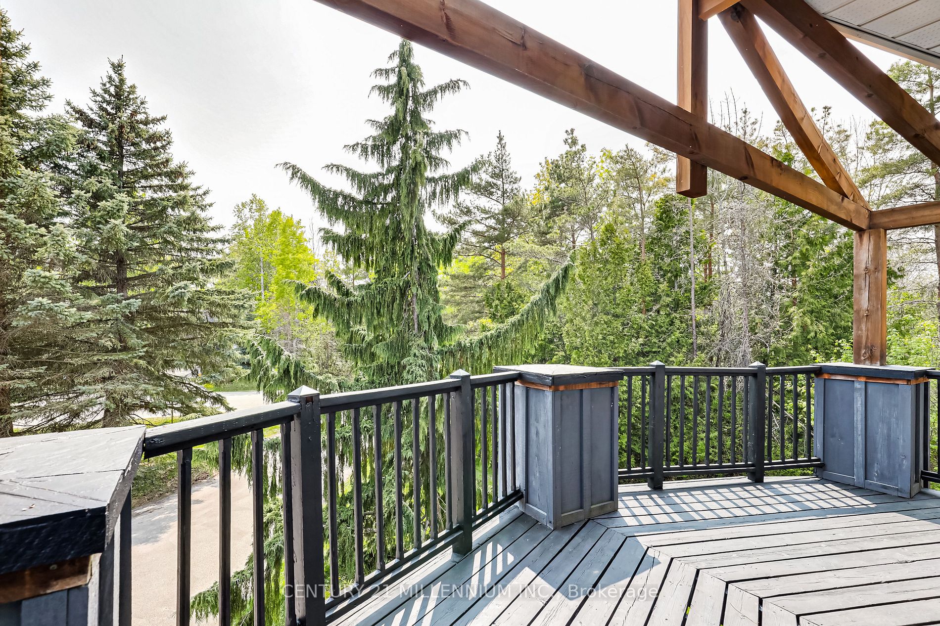 20 Forest Dr