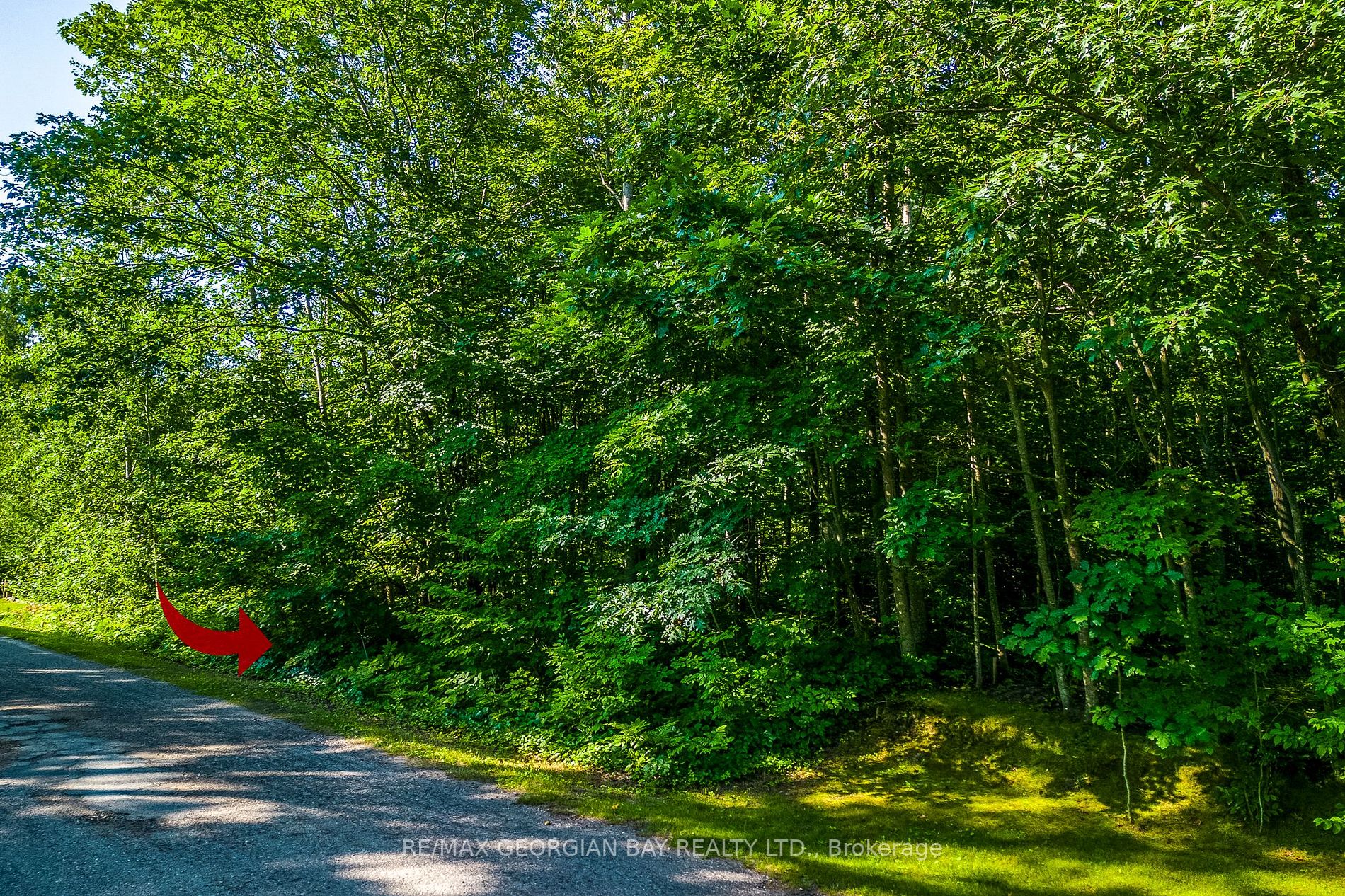 Listing S6712622 - Large Photo # 5