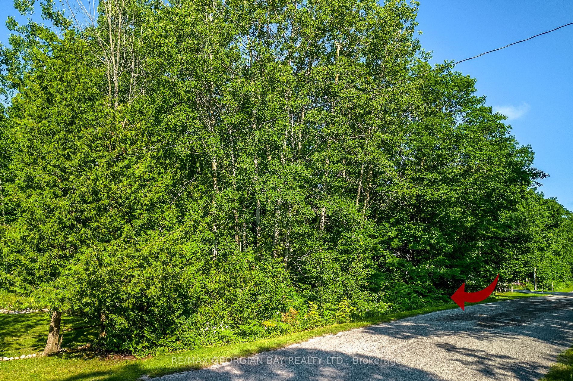 Listing S6712622 - Large Photo # 4