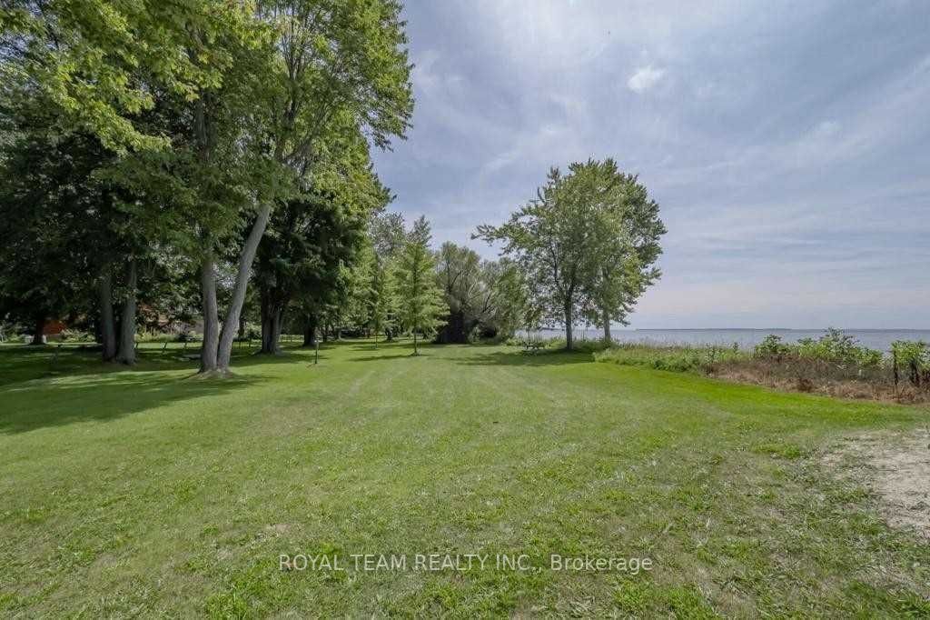 22 Turtle Path