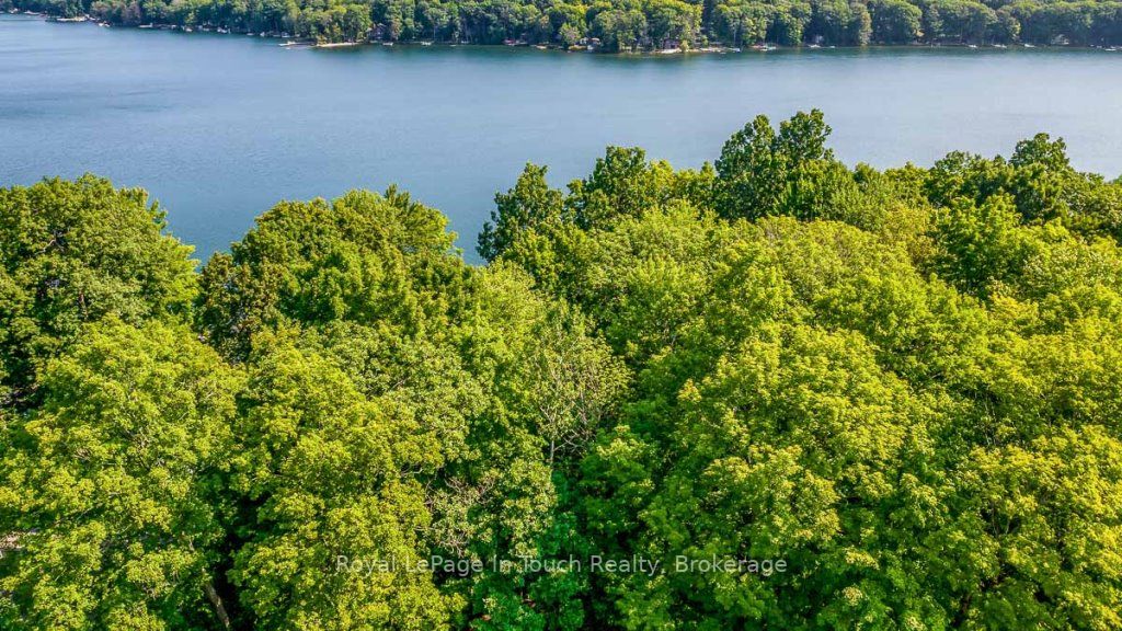 Listing S6740806 - Large Photo # 12