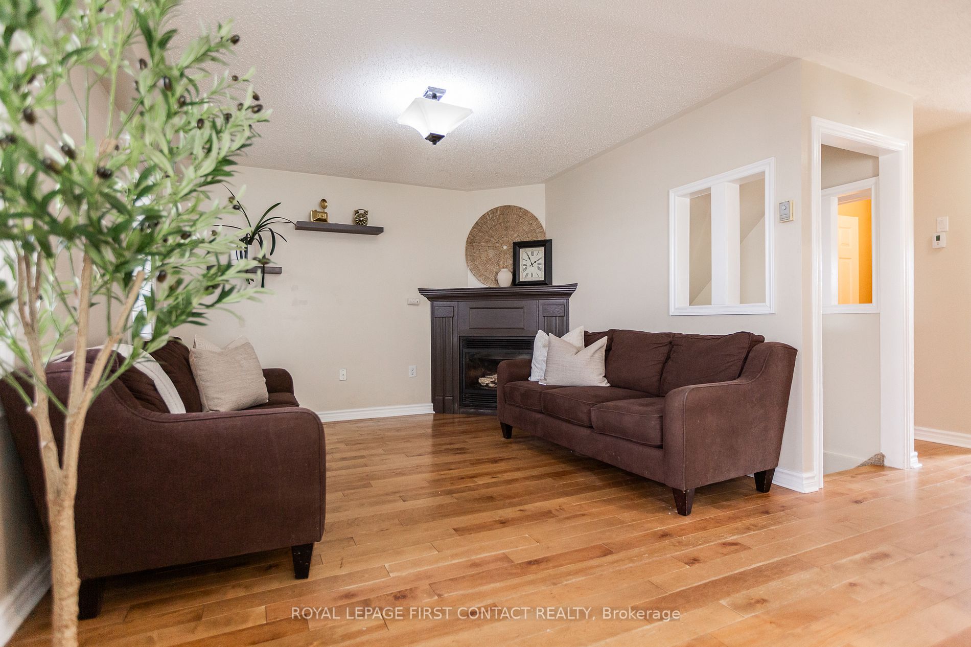 3168 Monarch Drive