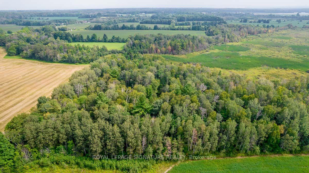 209 15/16 Sideroad