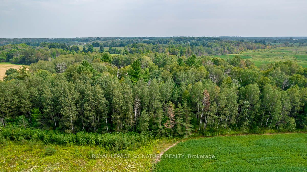 209 15/16 Sideroad