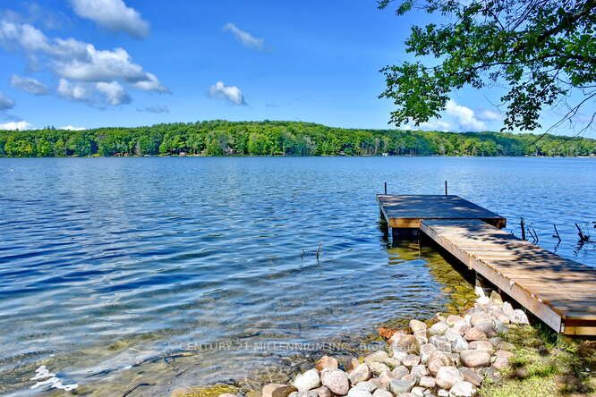 Listing S6760404 - Large Photo # 7