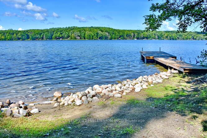 Listing S6760404 - Large Photo # 5