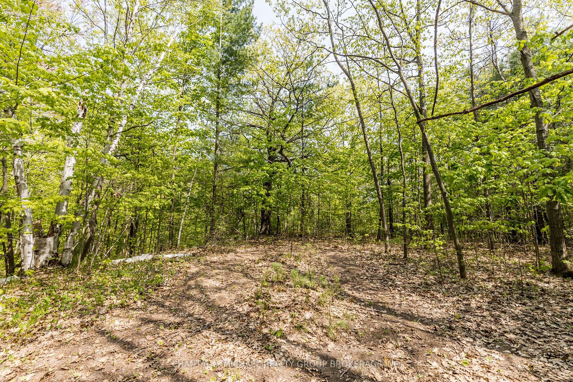 358 Shanty Bay Rd