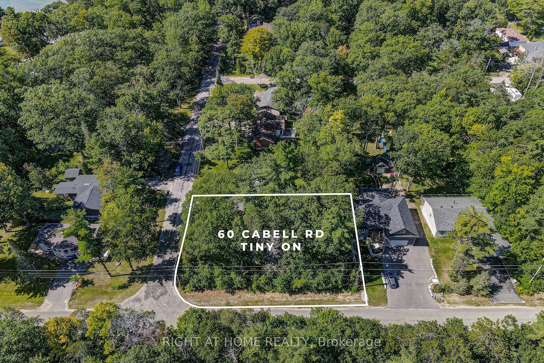 Listing S6784986 - Large Photo # 3