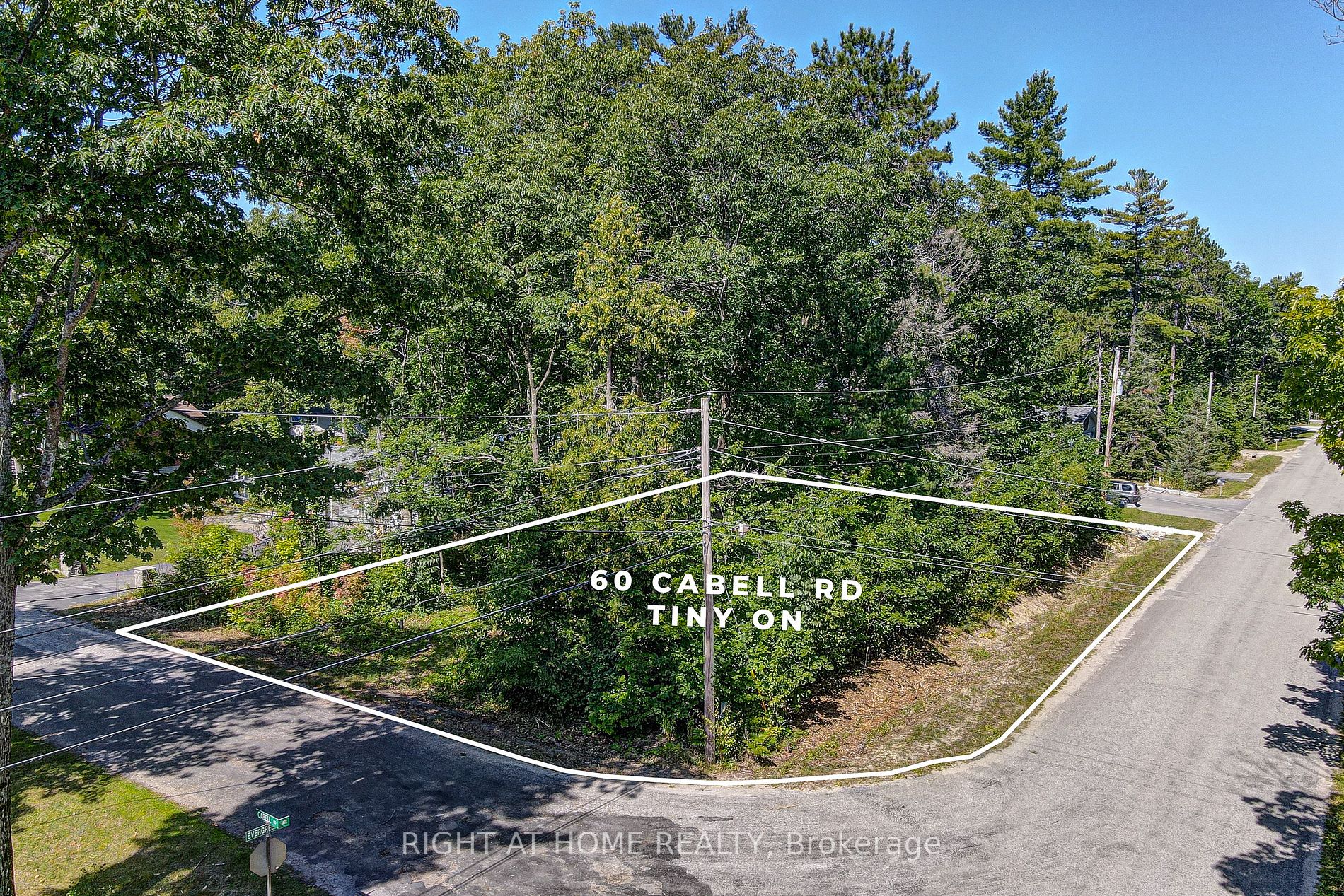 Listing S6784986 - Large Photo # 2